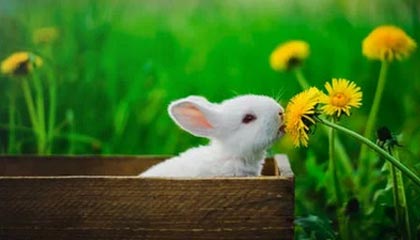 17173热门游戏榜：《绝区零》2.3版本更新 《原神》新版前瞻公开